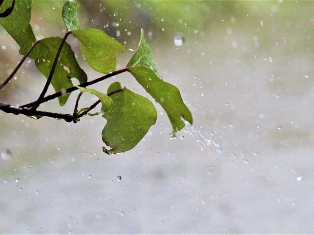ゲリラ豪雨
